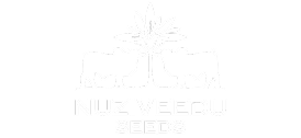 Nuziveedu Seeds